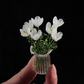 🌷 Sett med blomstervaser i glass – fargerike, kompakte og vedlikeholdsfrie for alltid!