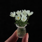 🌷 Sett med blomstervaser i glass – fargerike, kompakte og vedlikeholdsfrie for alltid!