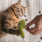 Mykt tyggeleke til katter med kattemynte